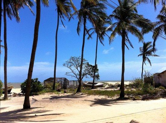 Scoop Cabana Kitesurfing Kalpitiya Exterior foto